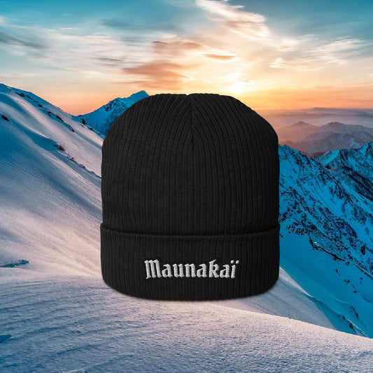Le N°1 - Bonnet Homme